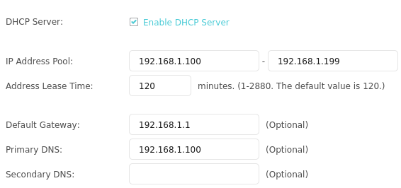 TP Link router DHCP/DNS settings